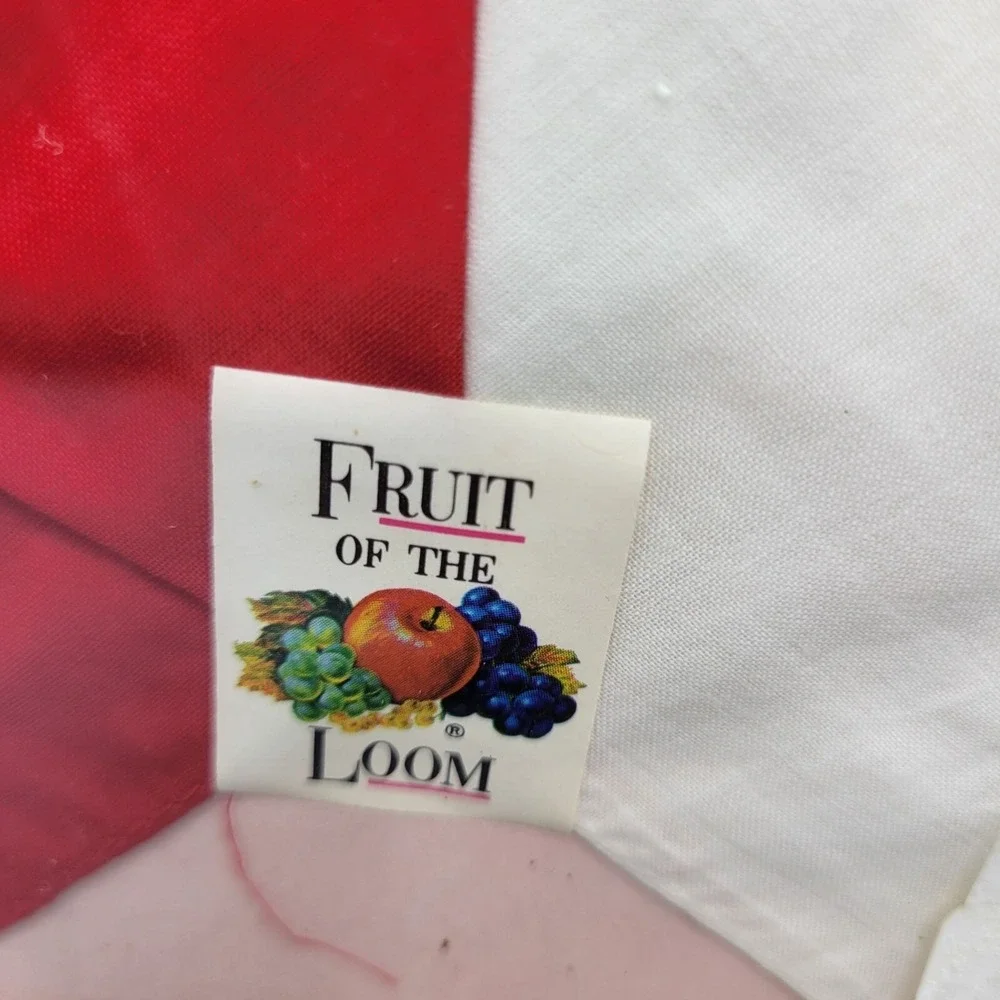 Vtg Fruit Of The Loom Ladies Quality Handkerchiefs Cotton Embroidered Set of 2